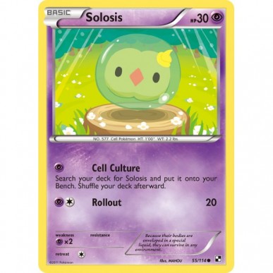 Solosis
