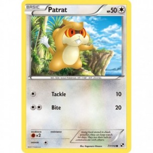 Patrat