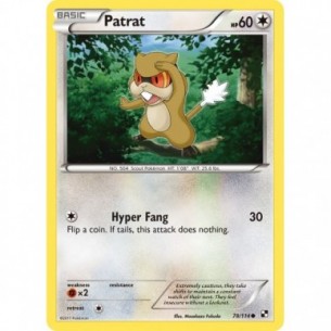 Patrat