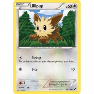 Lillipup