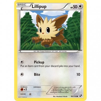 Lillipup