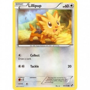 Lillipup