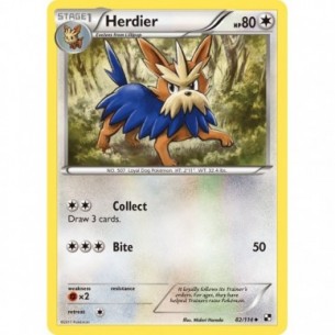 Herdier