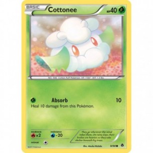 Cottonee