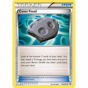 Cover Fossil