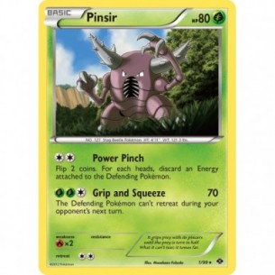 Pinsir