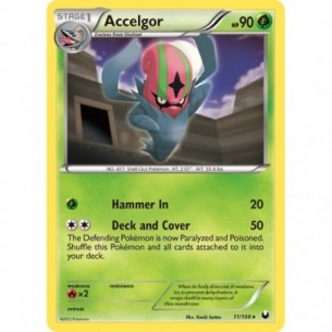 Accelgor