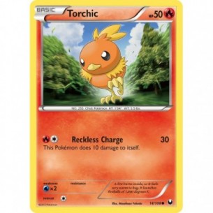 Torchic
