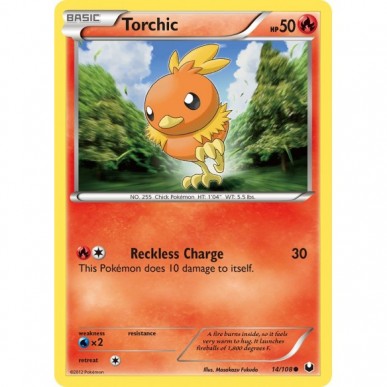 Torchic