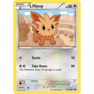 Lillipup