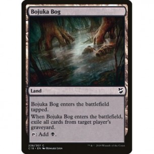 Acquitrino di Bojuka