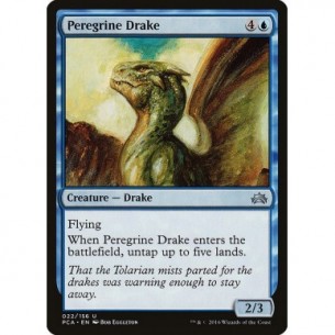 Peregrine Drake