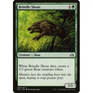 Brindle Shoat