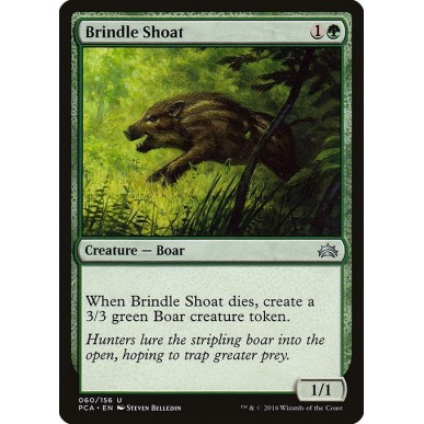 Brindle Shoat