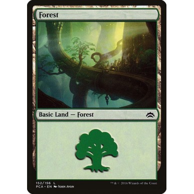 Forest