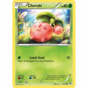 Cherubi