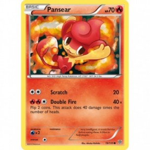 Pansear