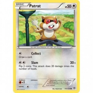 Patrat
