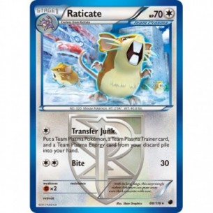 Raticate