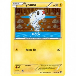 Tynamo