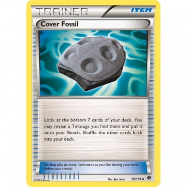 Cover Fossil