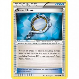 Silver Mirror