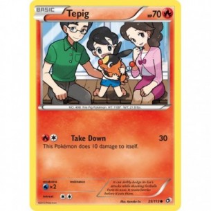 Tepig