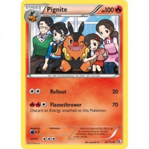 Pignite
