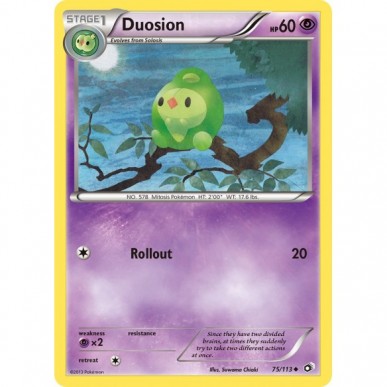 Duosion