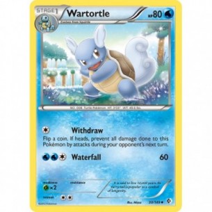 Wartortle