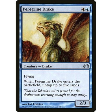 Peregrine Drake