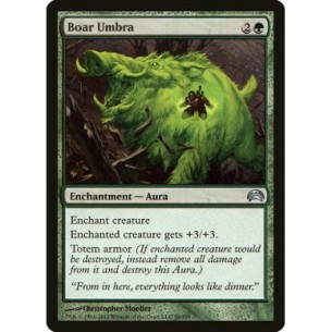 Essenza del Cinghiale