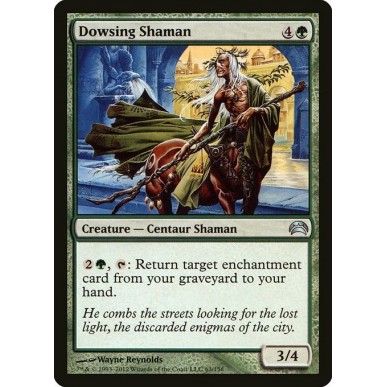 Dowsing Shaman