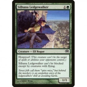 Calcasporgenze Silhana