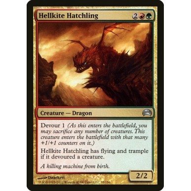 Hellkite Hatchling
