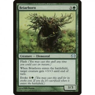 Briarhorn