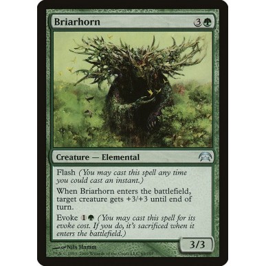 Briarhorn