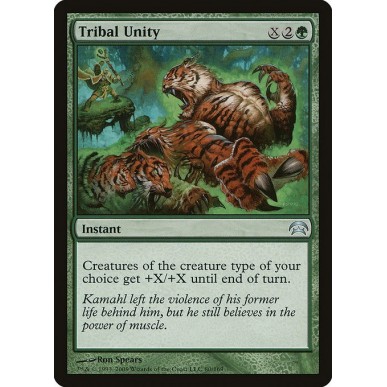 Tribal Unity