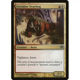 Cerodon Yearling