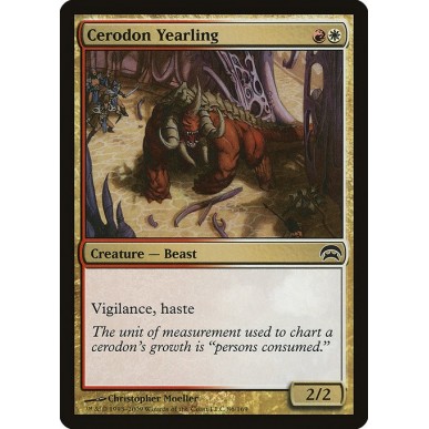 Cerodon Yearling