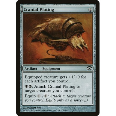 Cranial Plating