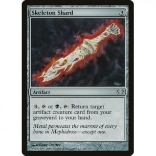Skeleton Shard