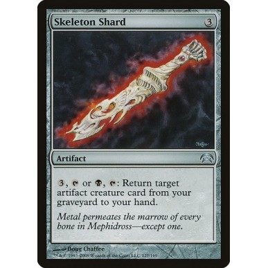 Skeleton Shard