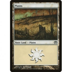 Plains