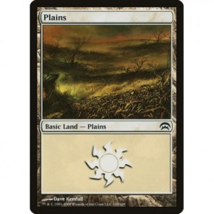 Plains
