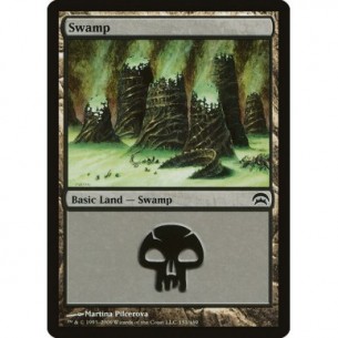 Swamp