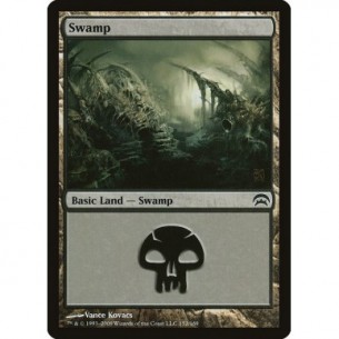 Swamp