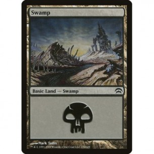 Swamp