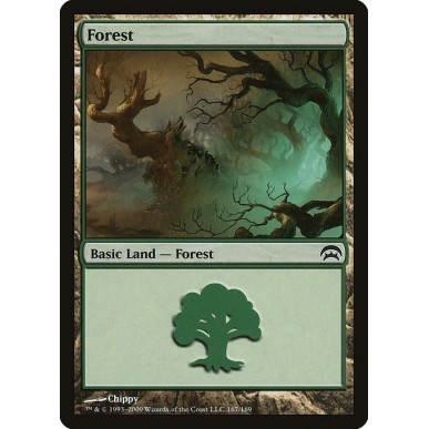 Forest