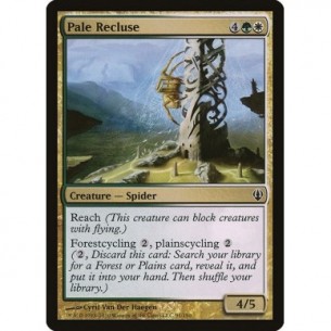 Pale Recluse